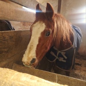 Offers welcome!!!!! This week only